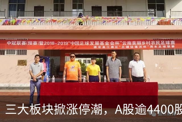 三大板块掀涨停潮，A股逾4400股上涨！