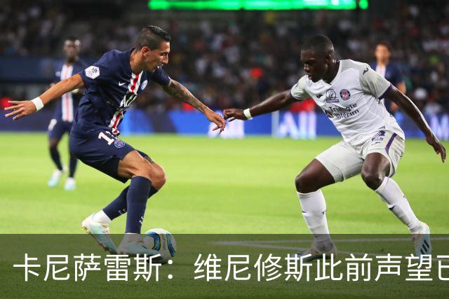 卡尼萨雷斯：维尼修斯此前声望已逐渐透支，他必须重拾昔日荣光