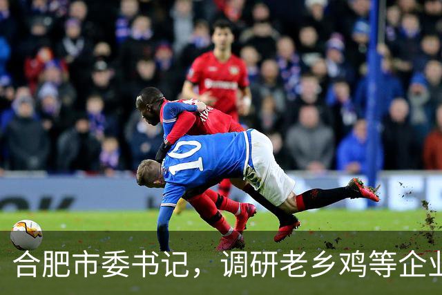 合肥市委书记，调研老乡鸡等企业