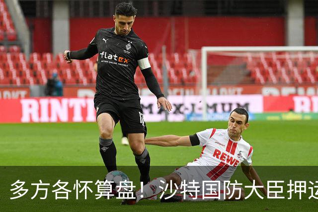 多方各怀算盘！沙特国防大臣押运10亿美元飞去伊朗，求胡塞停火？
