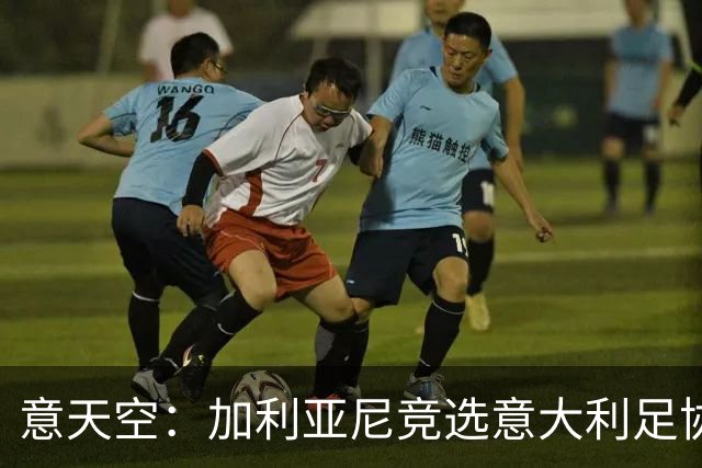 意天空：加利亚尼竞选意大利足协主席的可能性正在增加