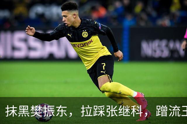 抹黑樊振东，拉踩张继科，蹭流王楚钦，原来他才是国乒，“搅屎棍”