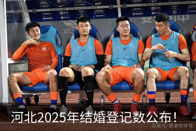 河北2025年结婚登记数公布！