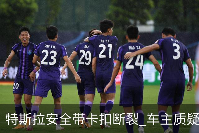 特斯拉安全带卡扣断裂 车主质疑质量缺陷