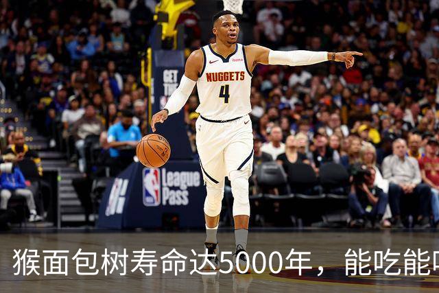 猴面包树寿命达5000年，能吃能喝又能住，为何引进中国却大变样？
