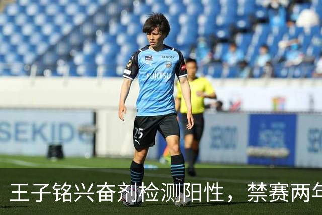 王子铭兴奋剂检测阳性，禁赛两年，大好职业生涯按下暂停键！