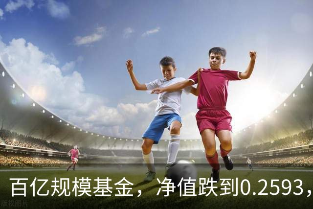 百亿规模基金，净值跌到0.2593，暴跌74%，亏得基民都不敢看账户