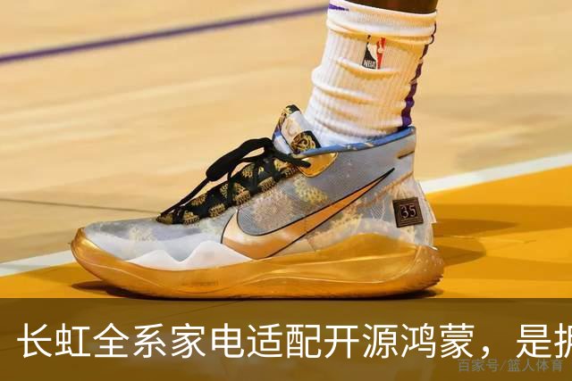 长虹全系家电适配开源鸿蒙，是拥抱生态更是求生
