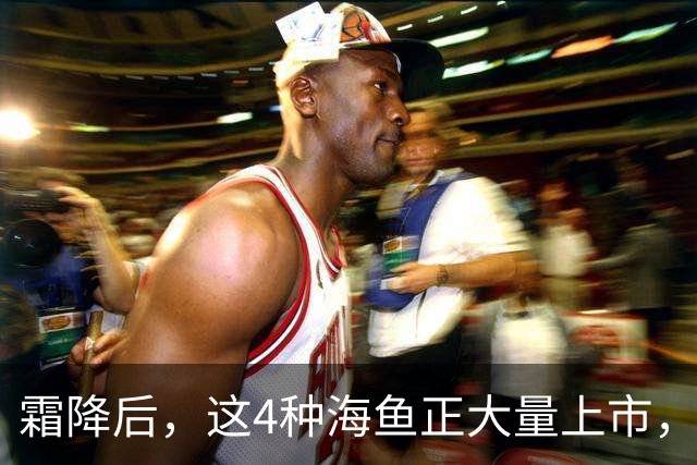 霜降后，这4种海鱼正大量上市，价格全年最低，大爷大妈抢着要