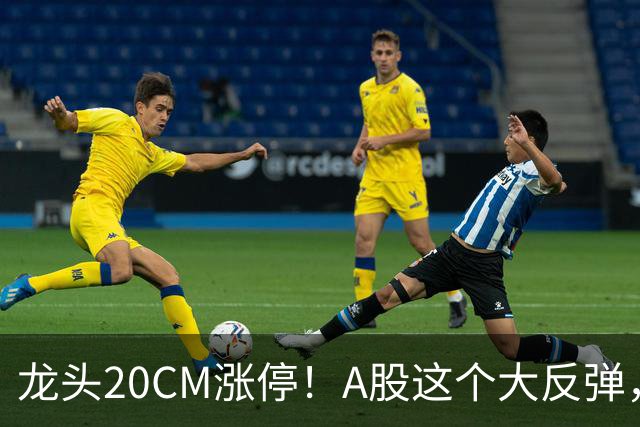 龙头20CM涨停！A股这个大反弹，太提气了！